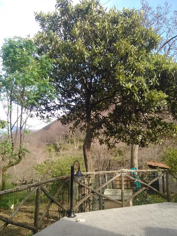 Casa Giordano Villa Tramonti Eksteriør billede
