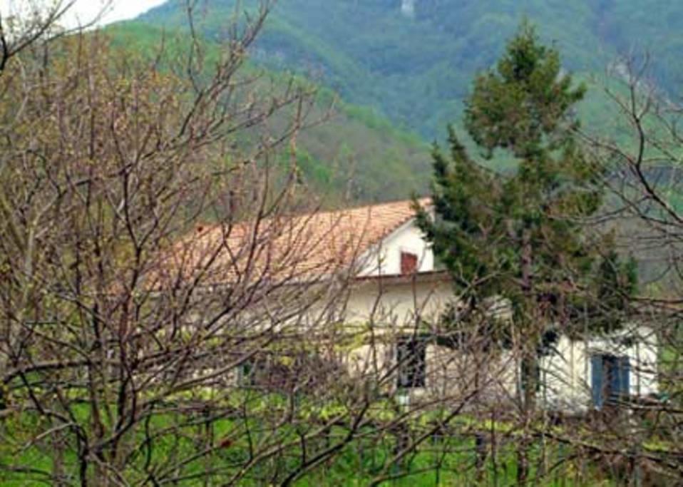 Casa Giordano Villa Tramonti Eksteriør billede